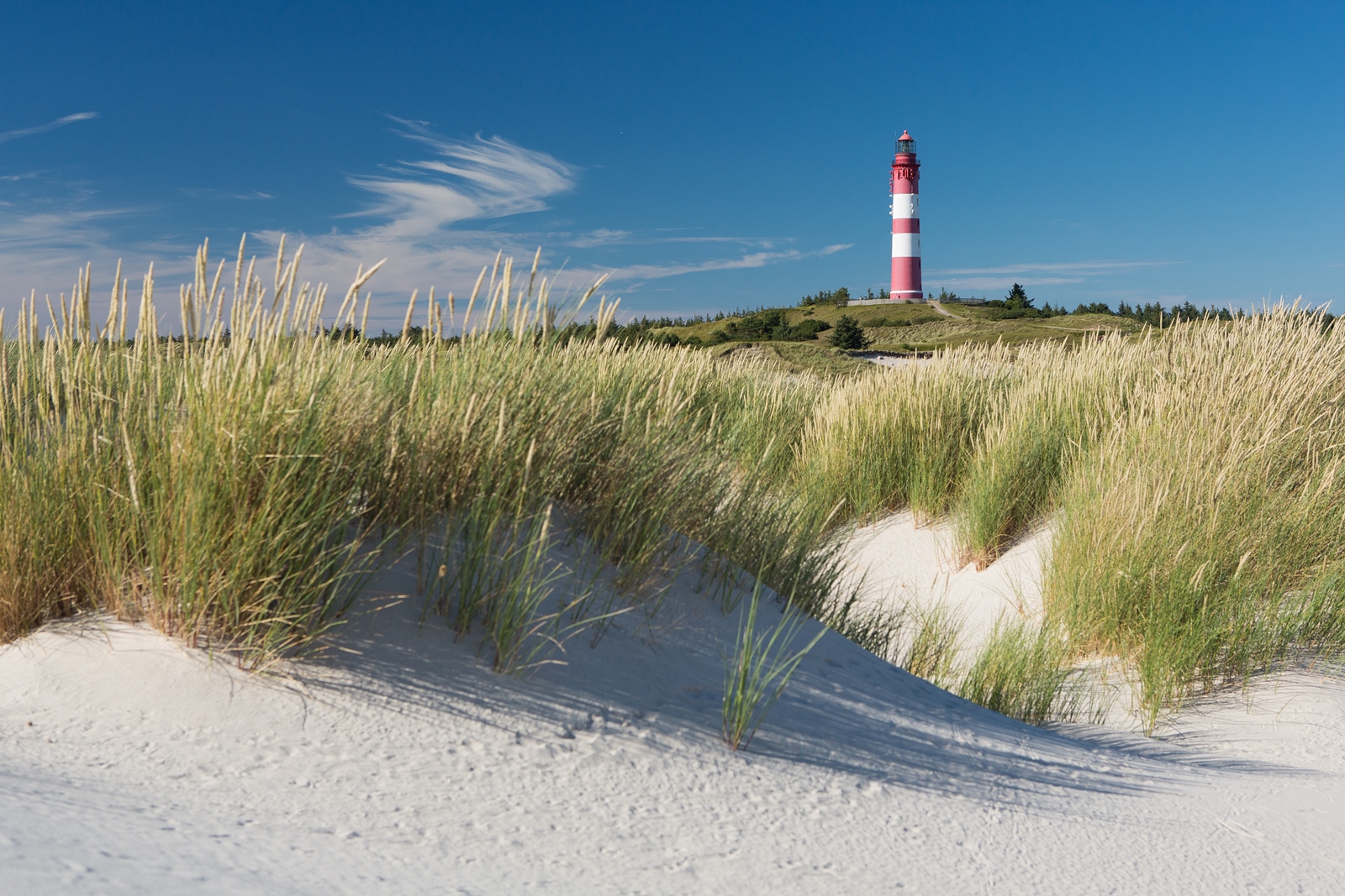 Amrum 003