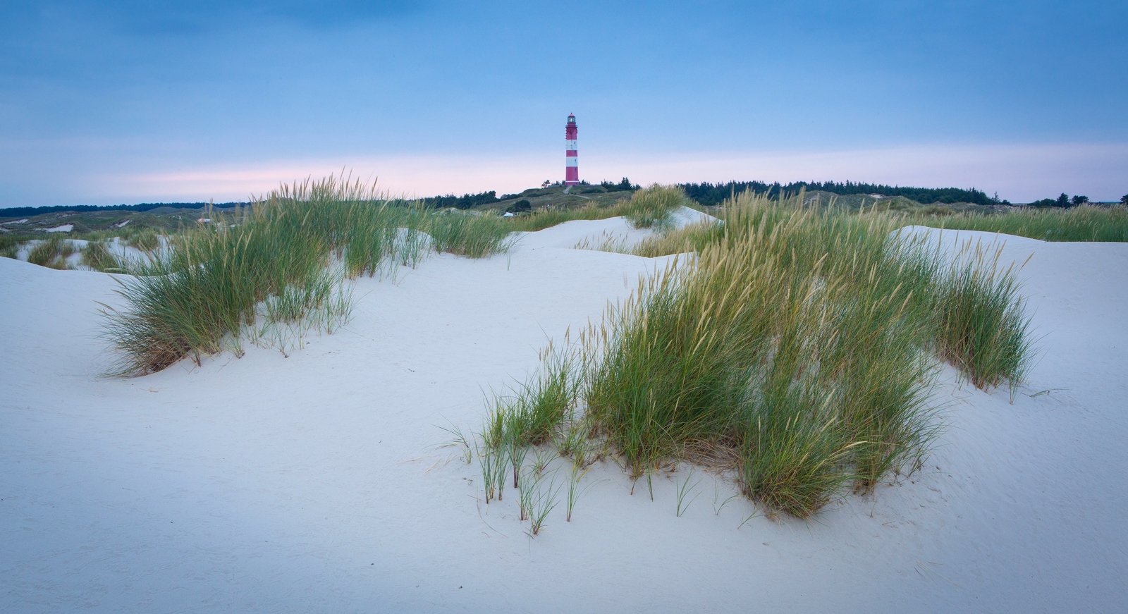 Amrum 011
