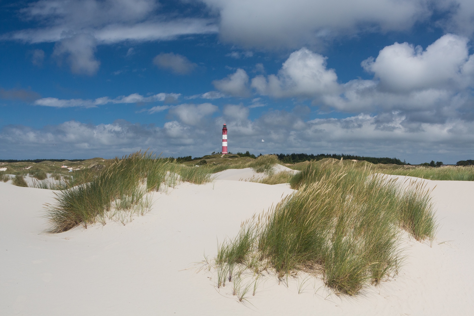 Amrum 021