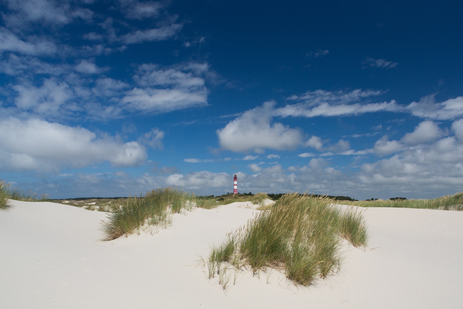 Amrum 022