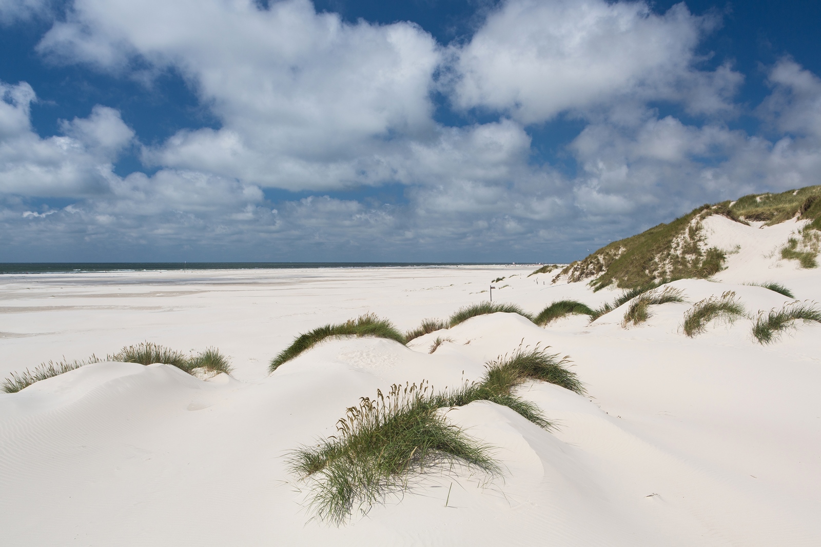 Amrum 025