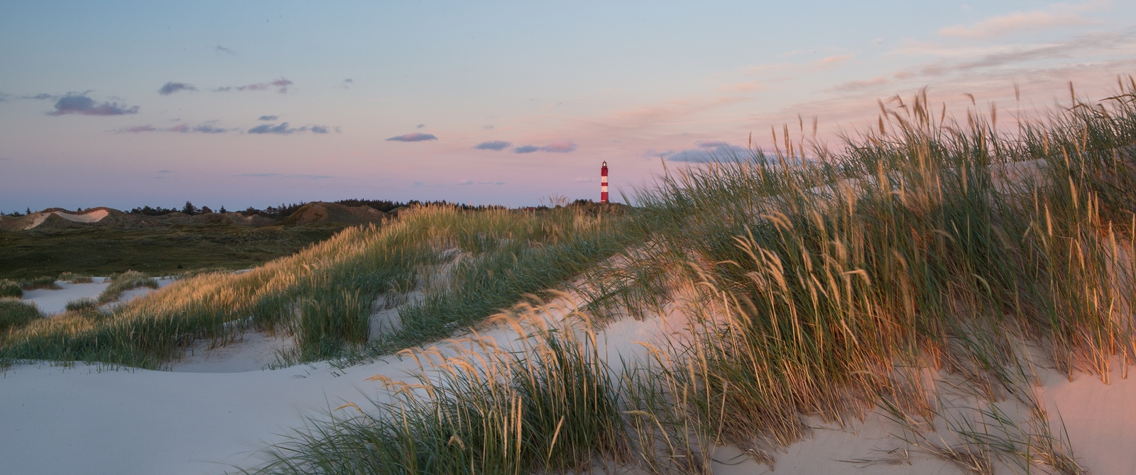 Amrum 048
