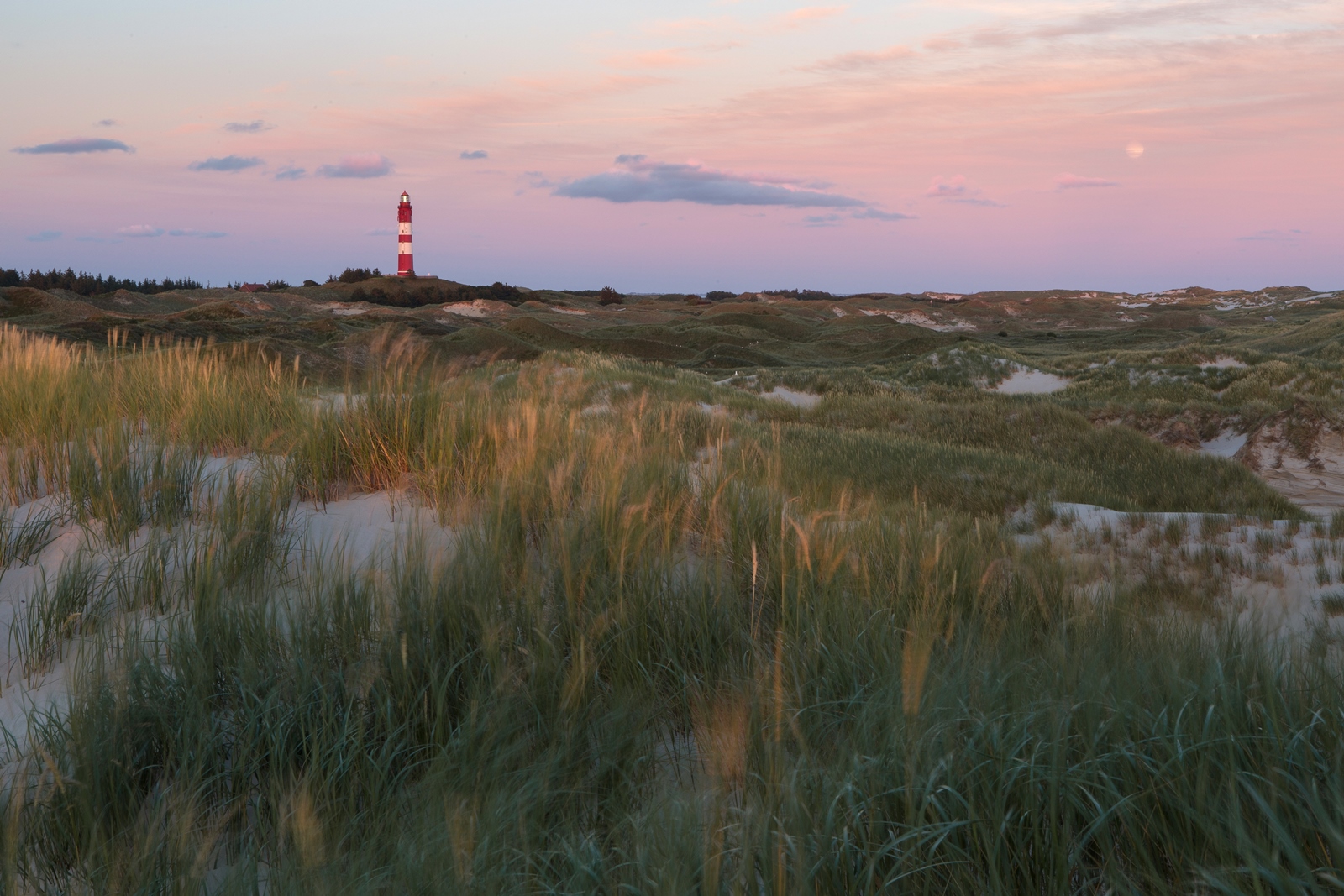 Amrum 049