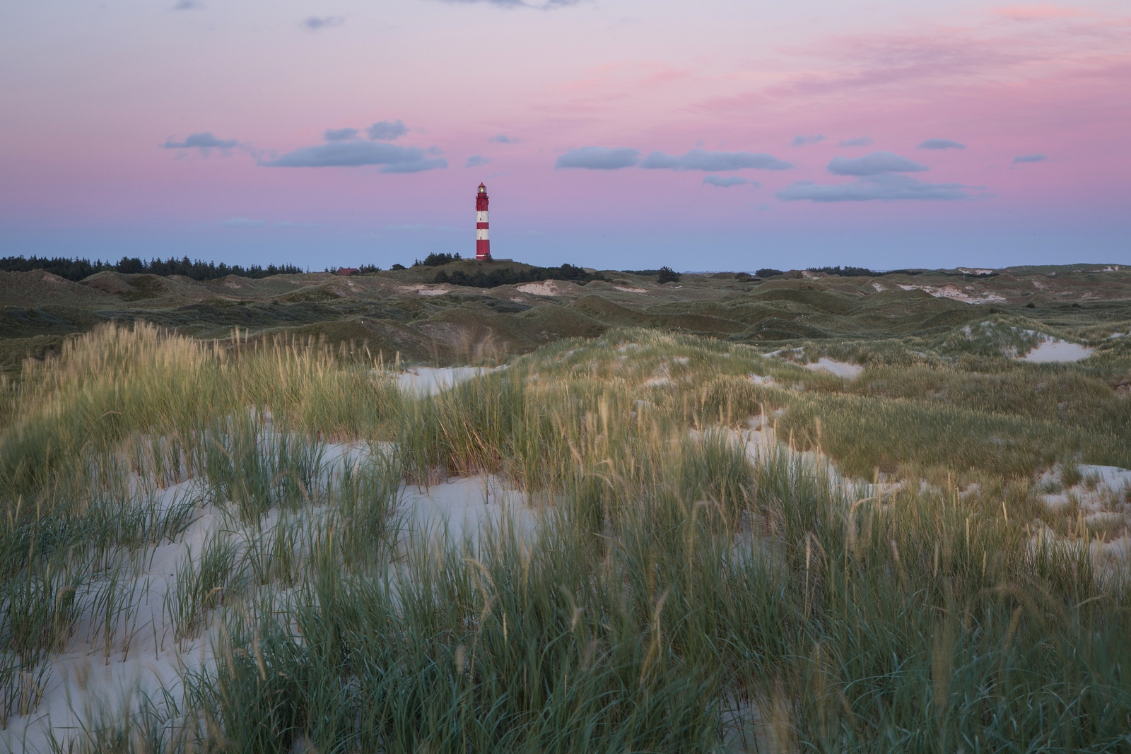 Amrum 051