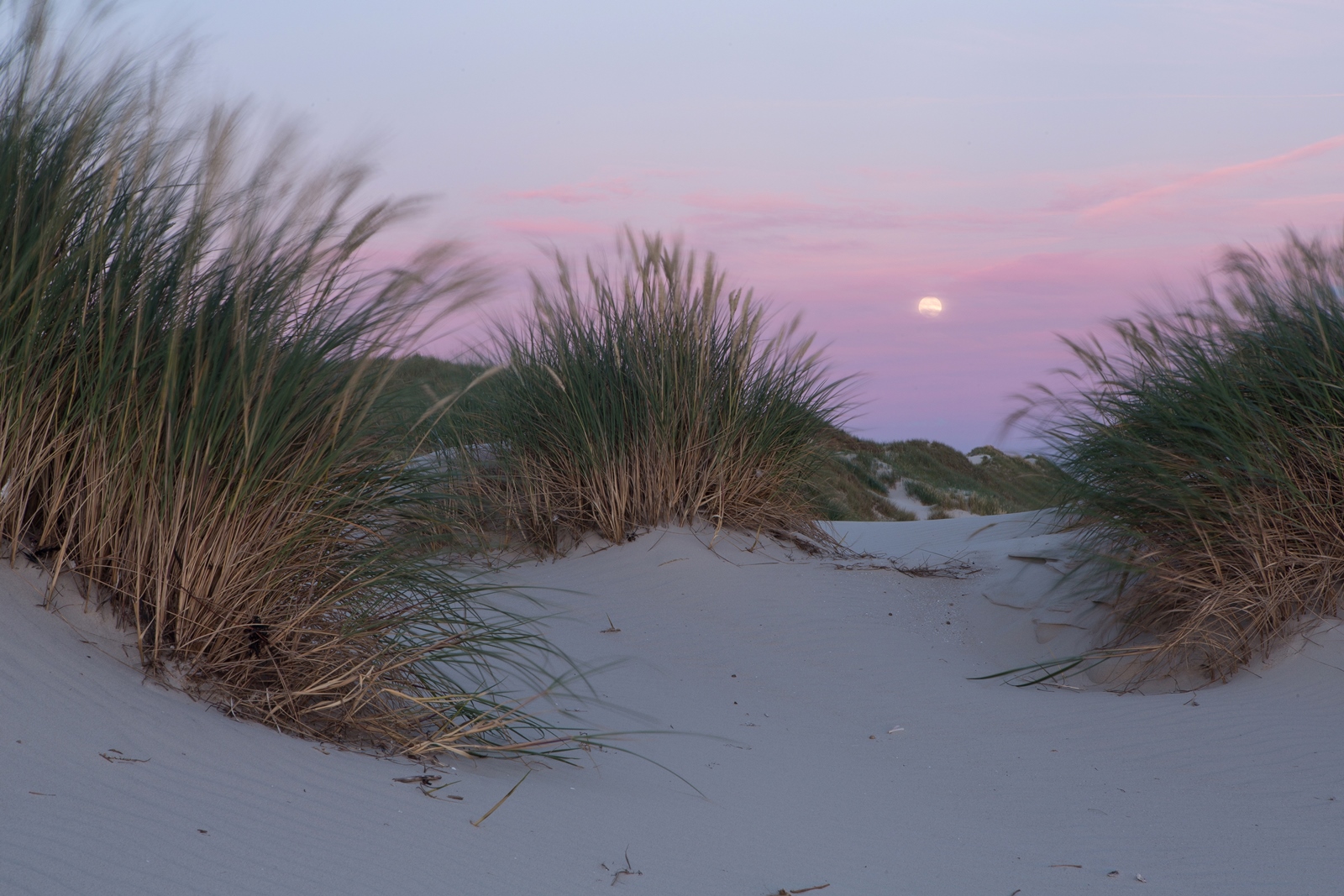 Amrum 052