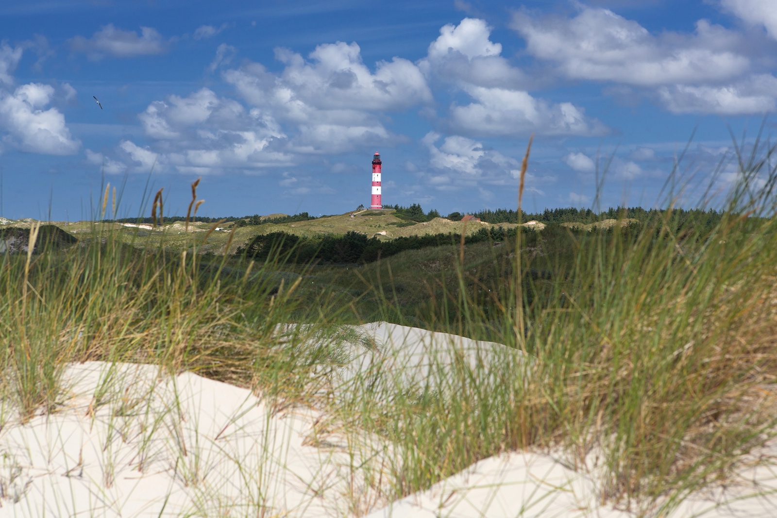 Amrum 092