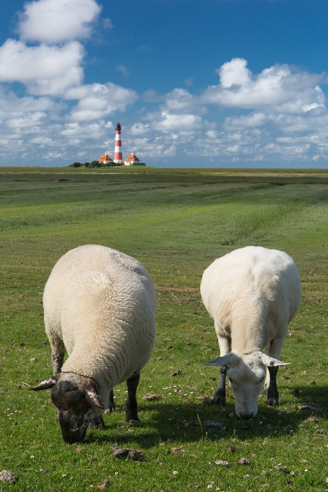 Westerhever 120