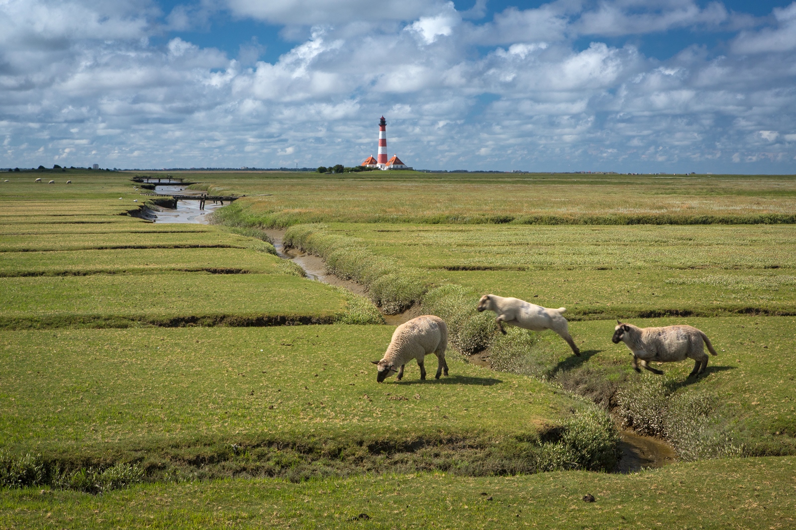 Westerhever 121