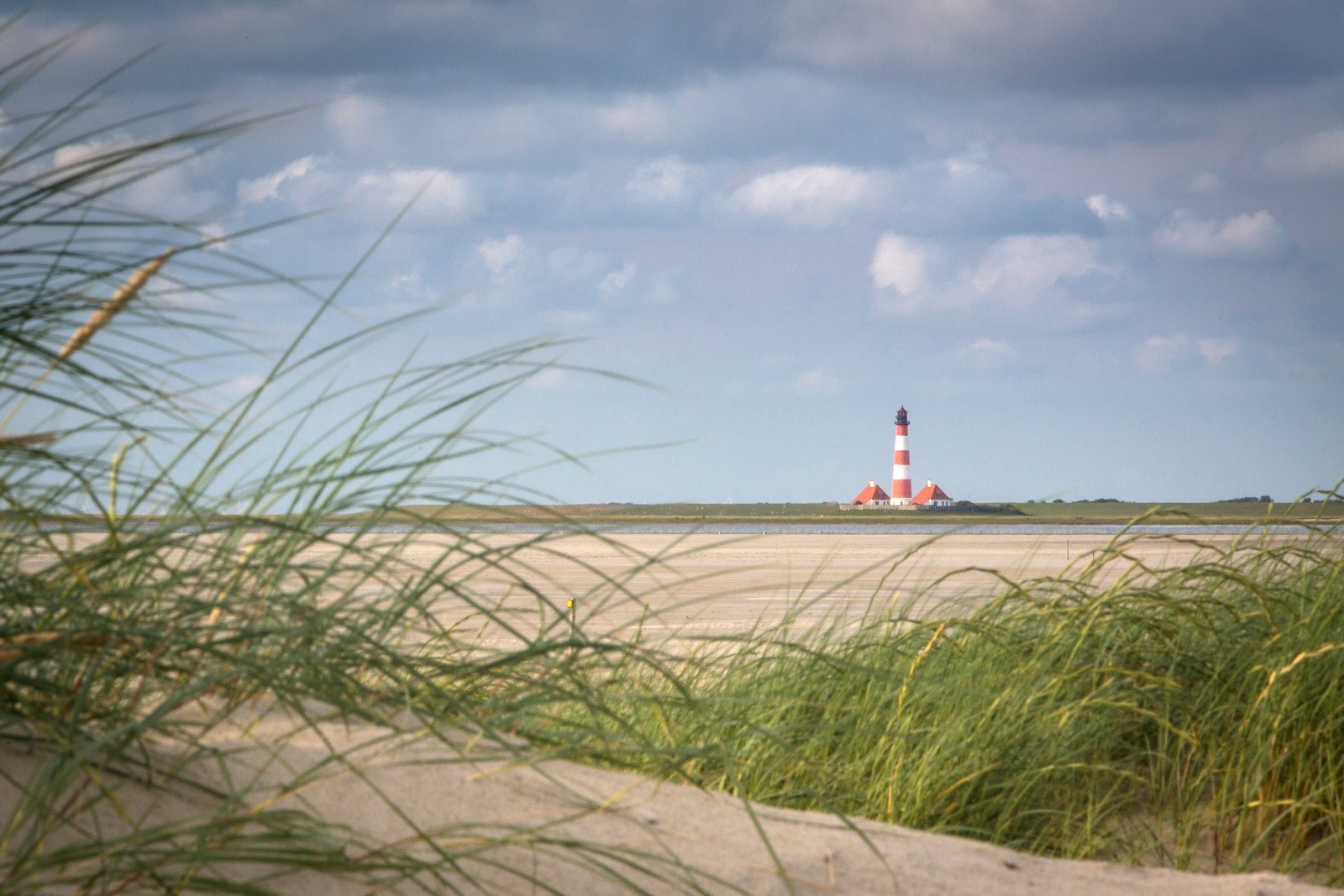Westerhever 132