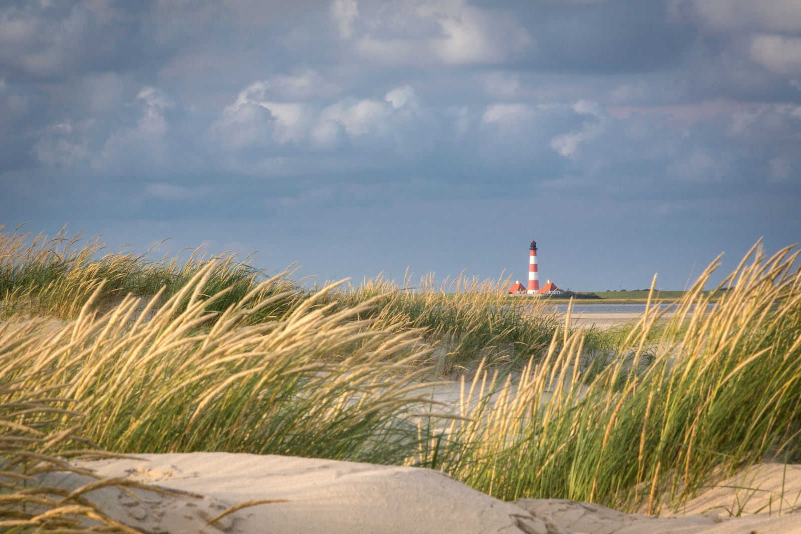 Westerhever 133