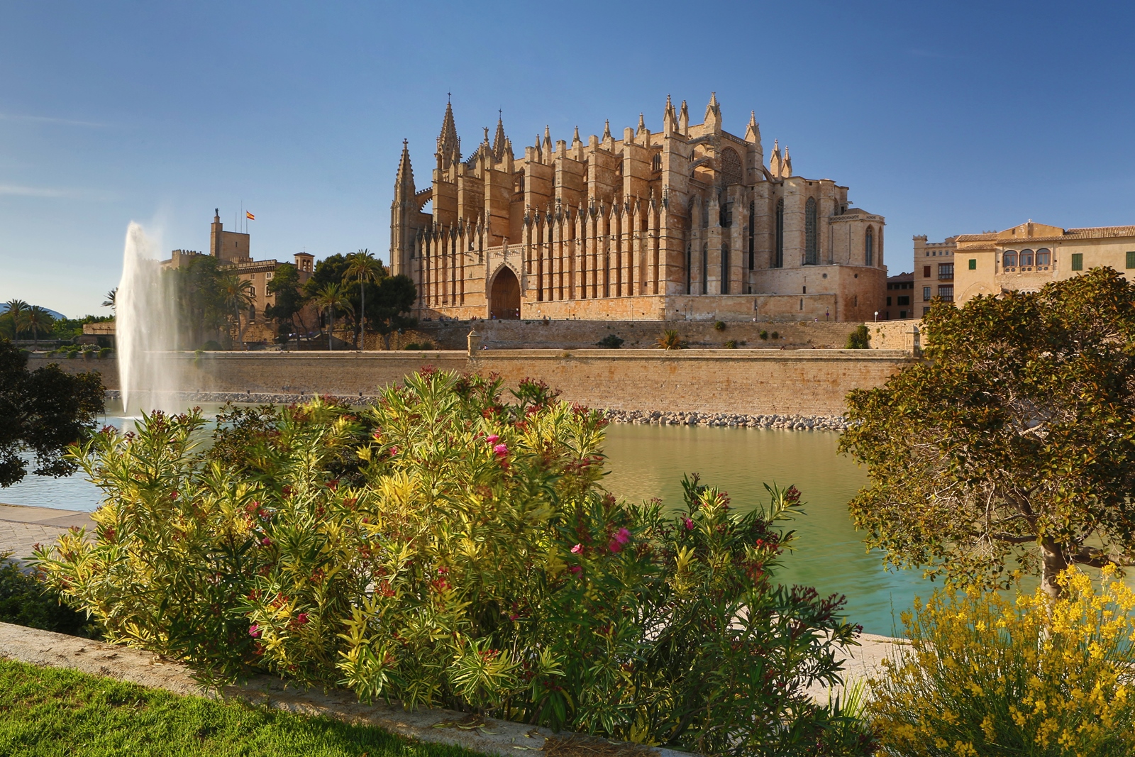 Mallorca 207