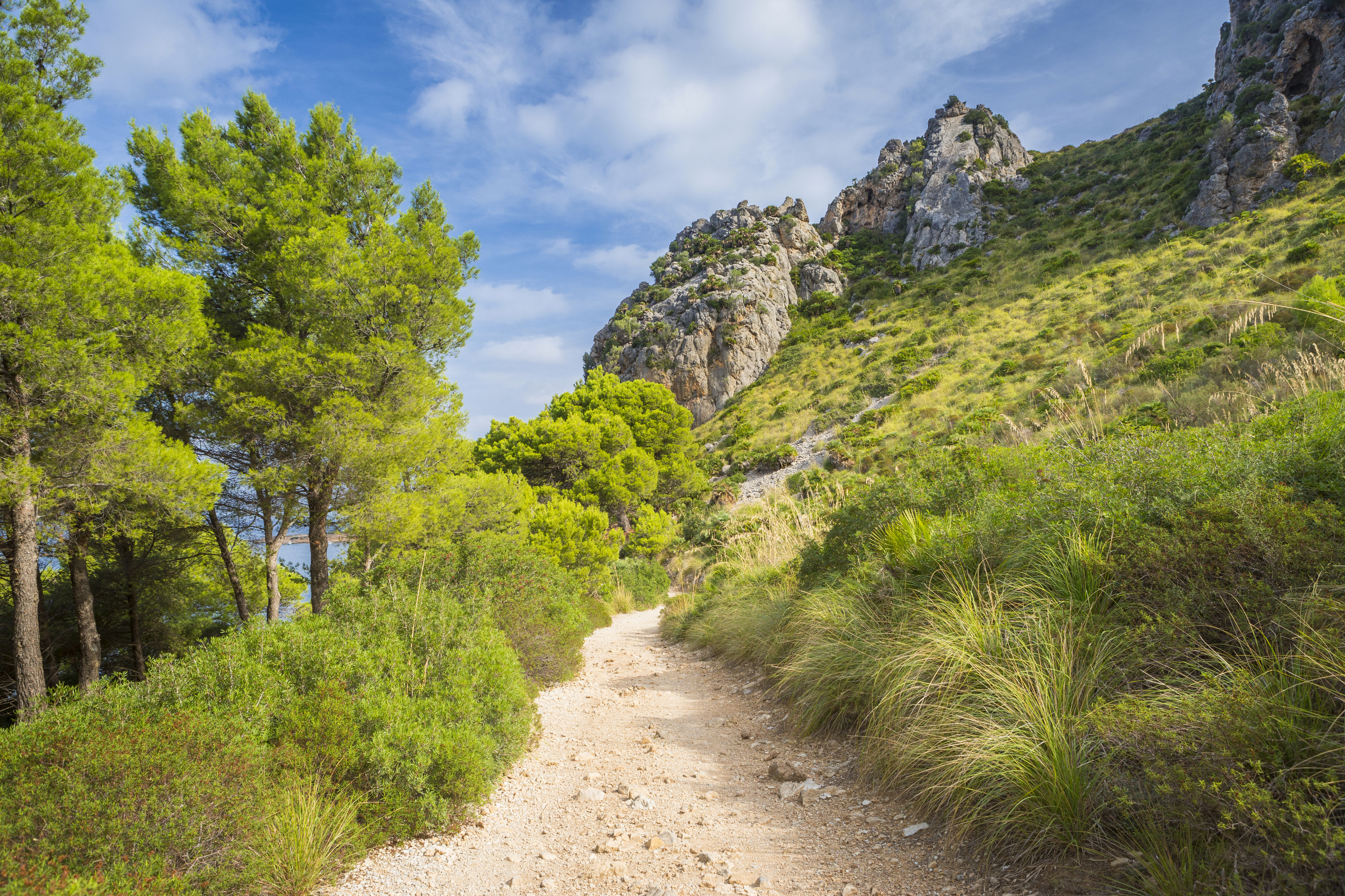 Mallorca 372