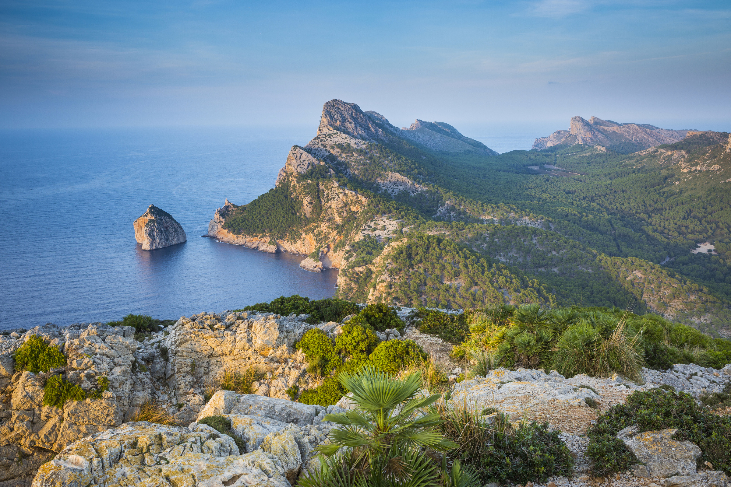 Mallorca 389