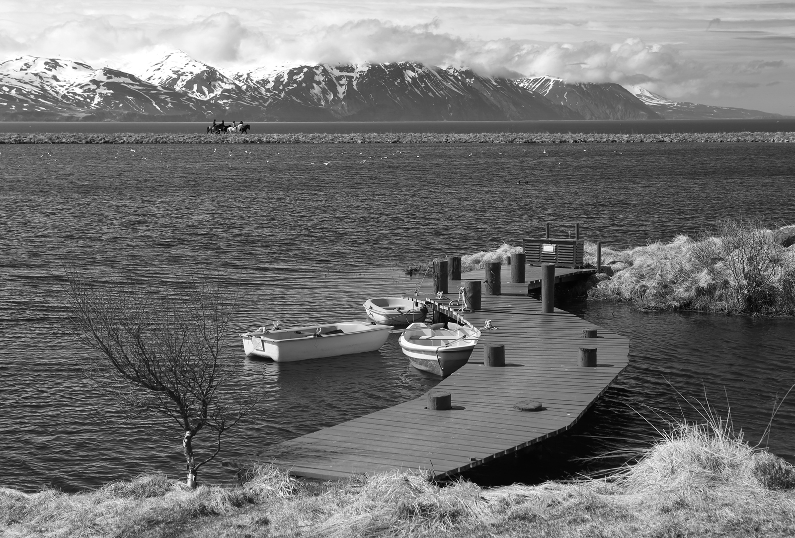 Island sw 37