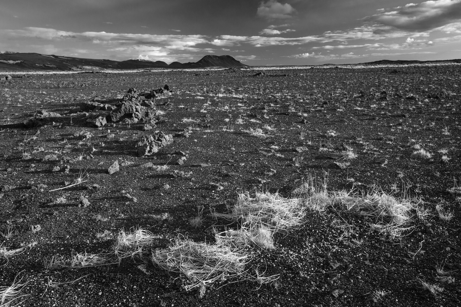 Island sw 39