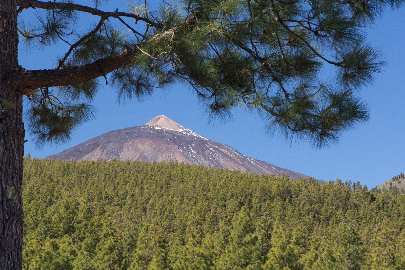 Teneriffa 13