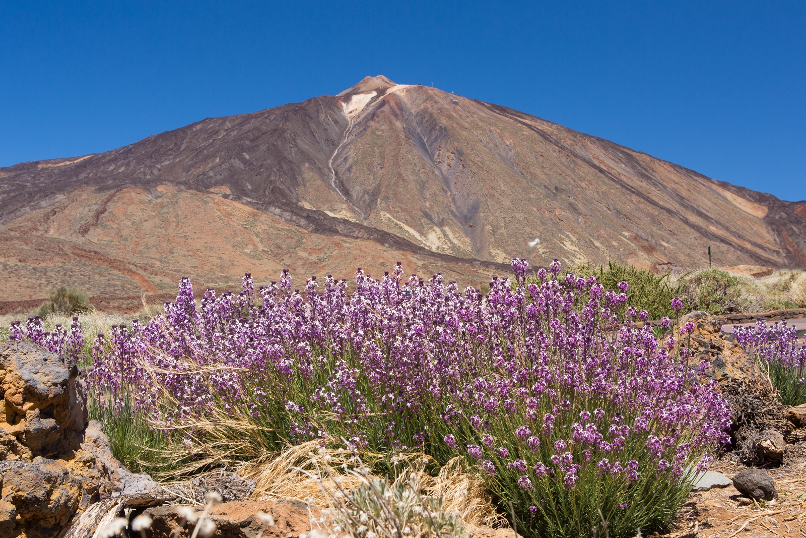 Teneriffa 14