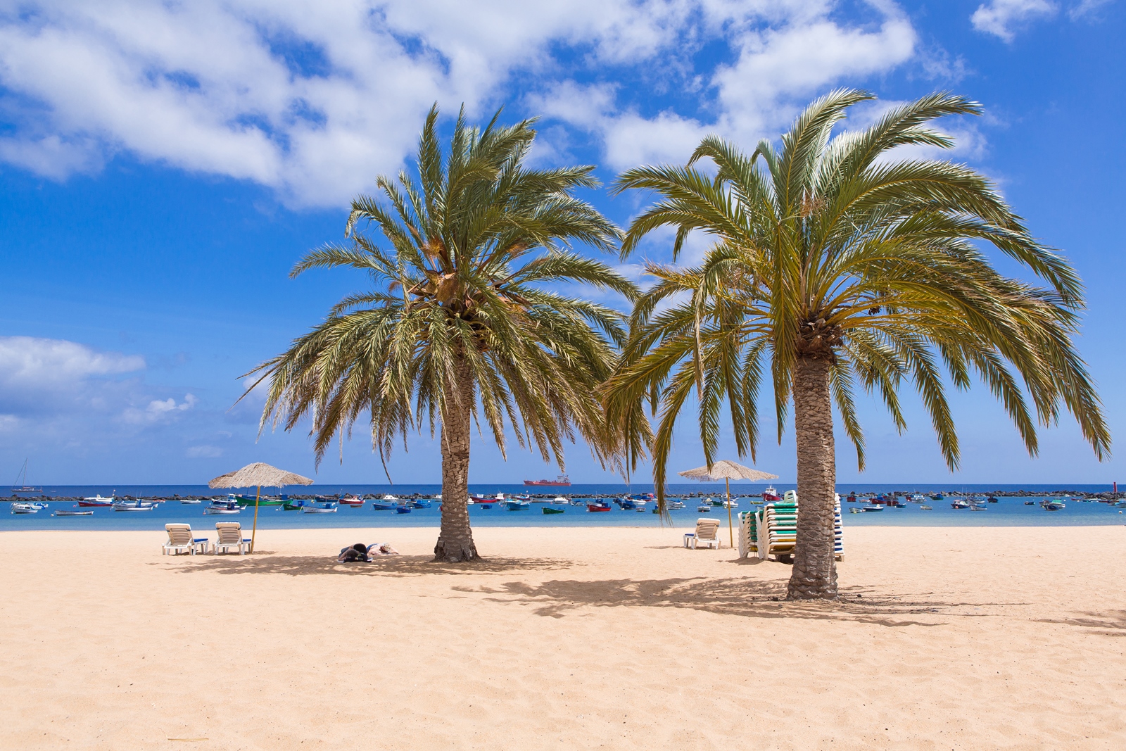 Teneriffa 29