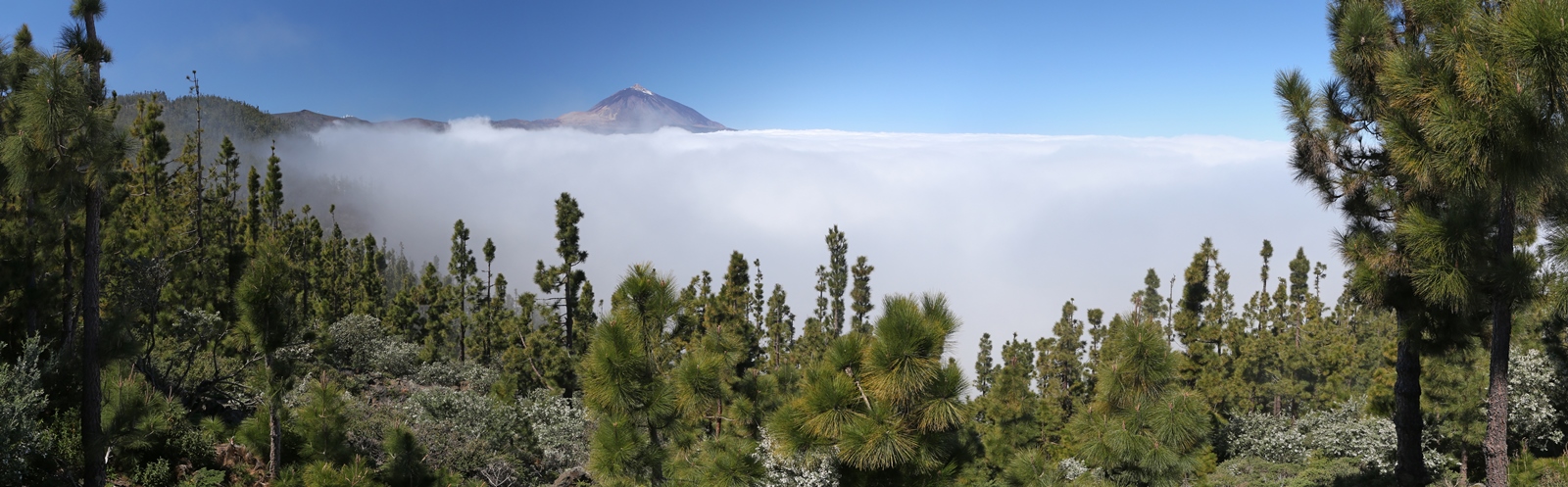Teneriffa 34
