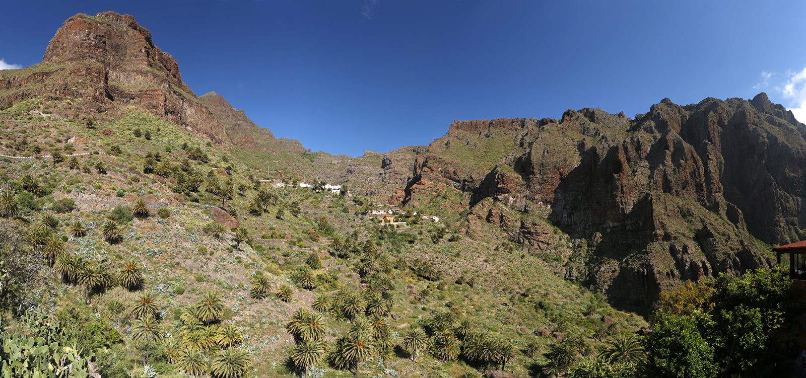 Teneriffa 39