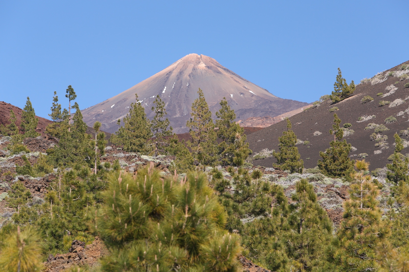 Teneriffa 41