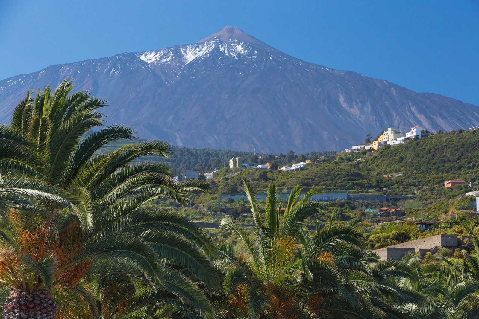 Teneriffa 45