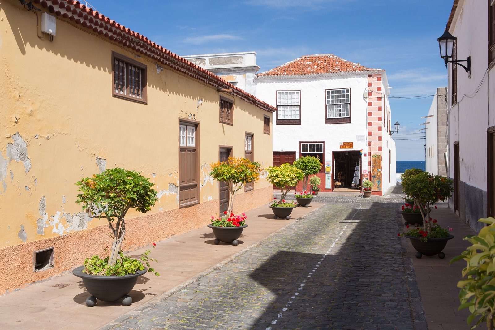 Teneriffa 49