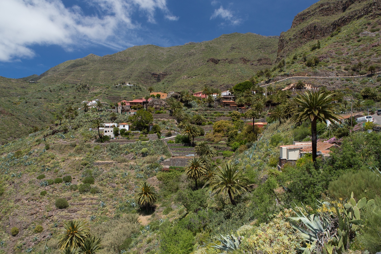 Teneriffa 58