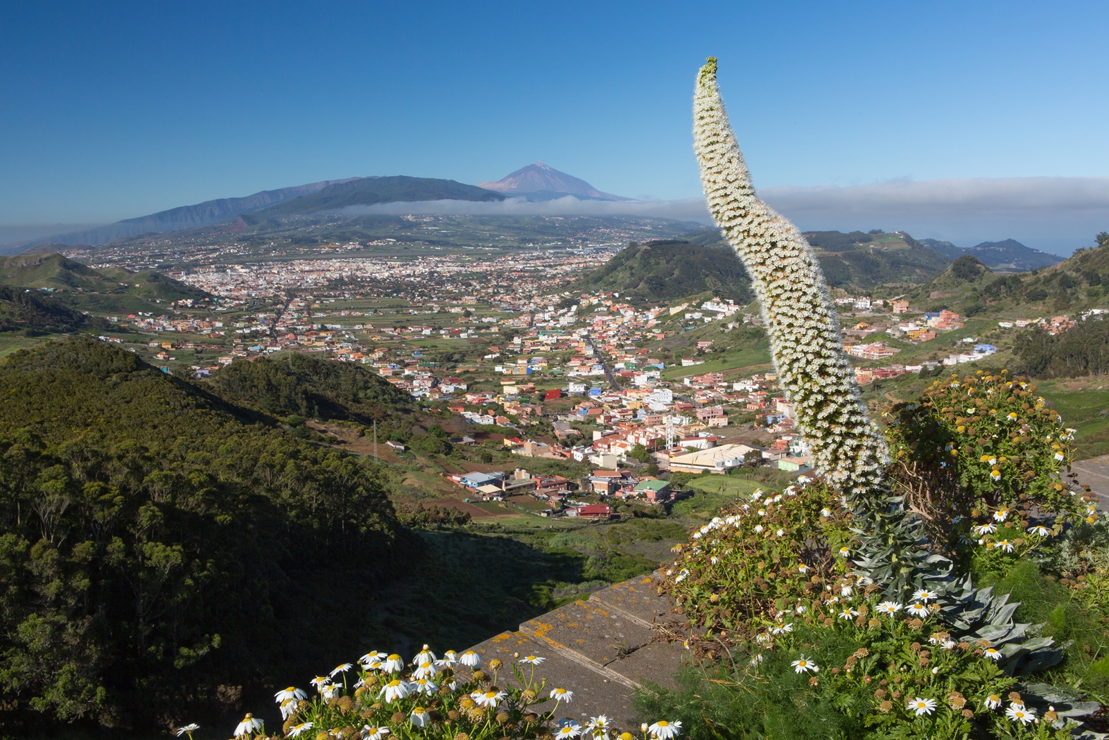 Teneriffa 59