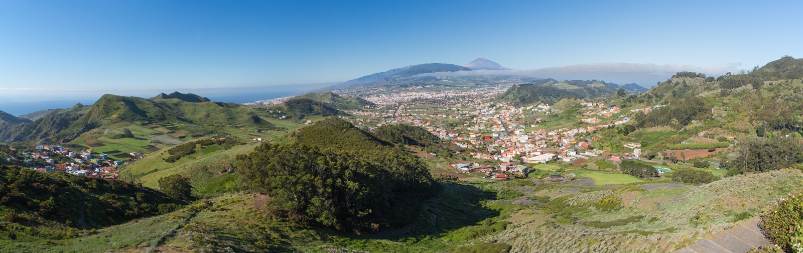 Teneriffa 61