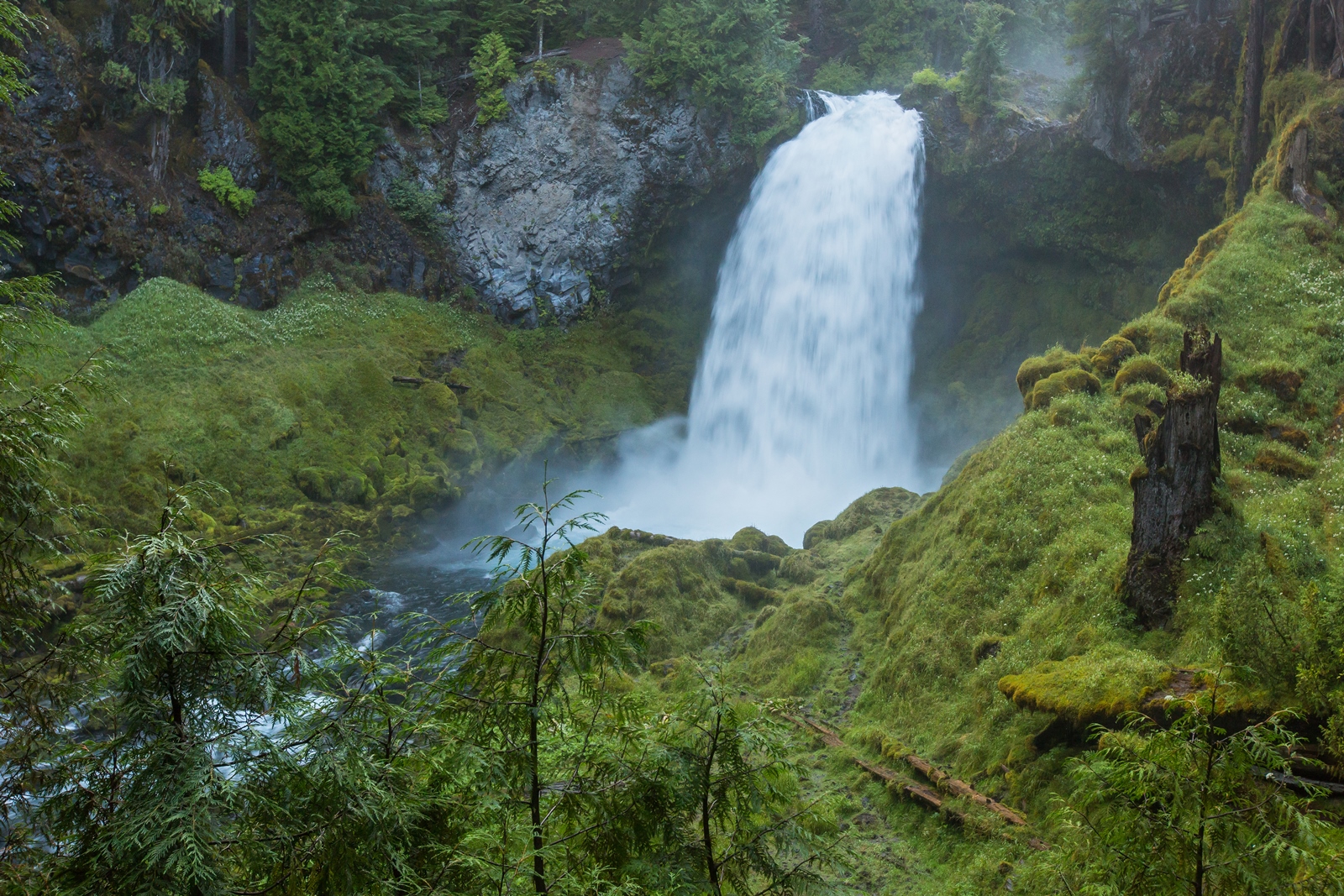 USA NW 014