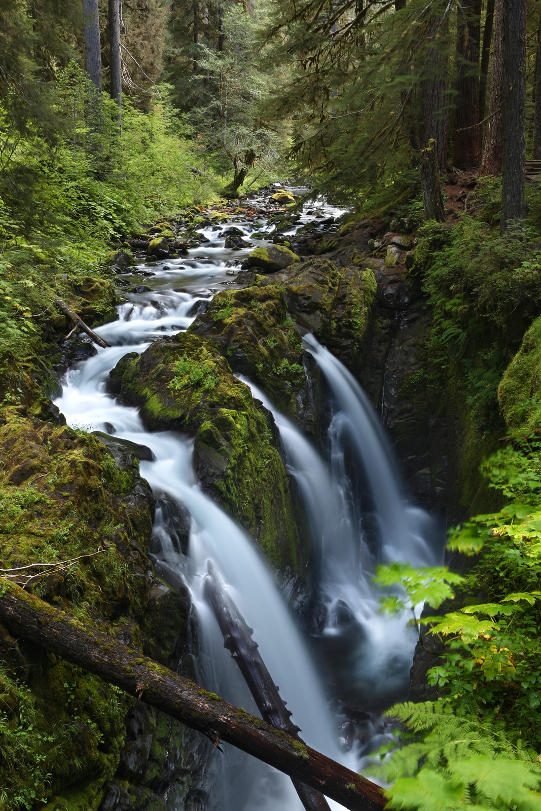 USA NW 042
