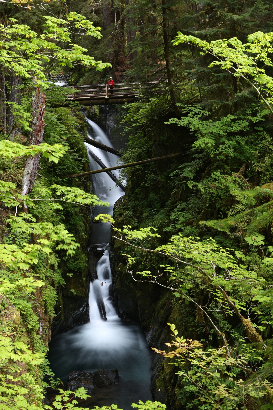 USA NW 043