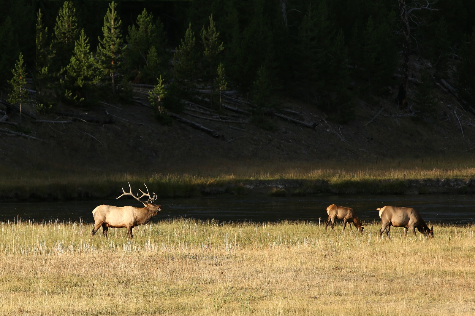 USA NW 060