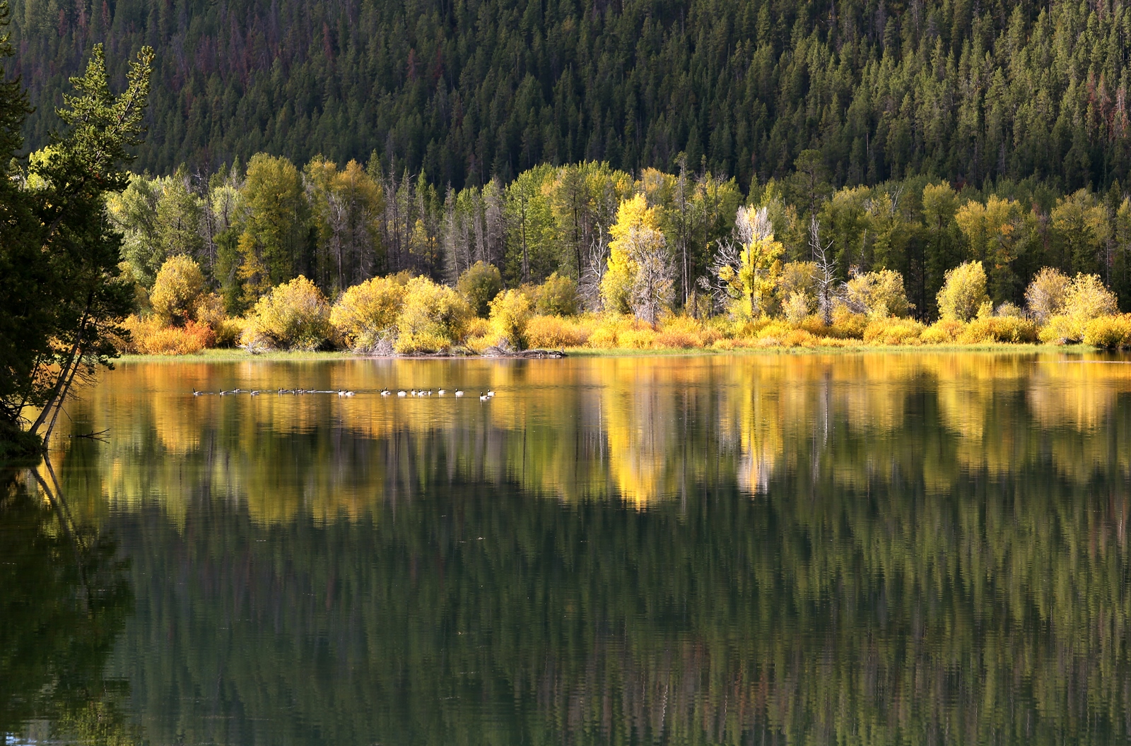 USA NW 084