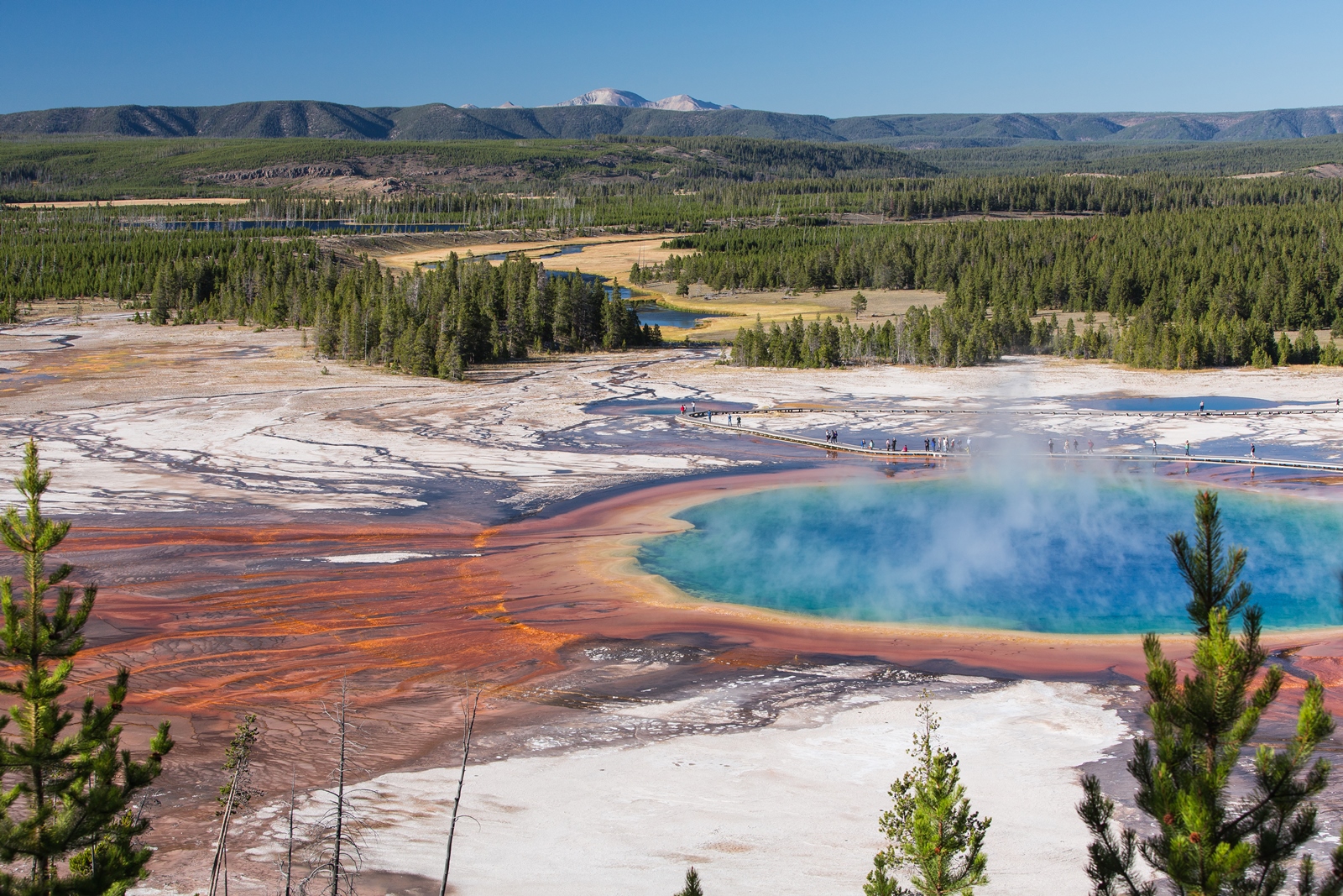 USA NW 118
