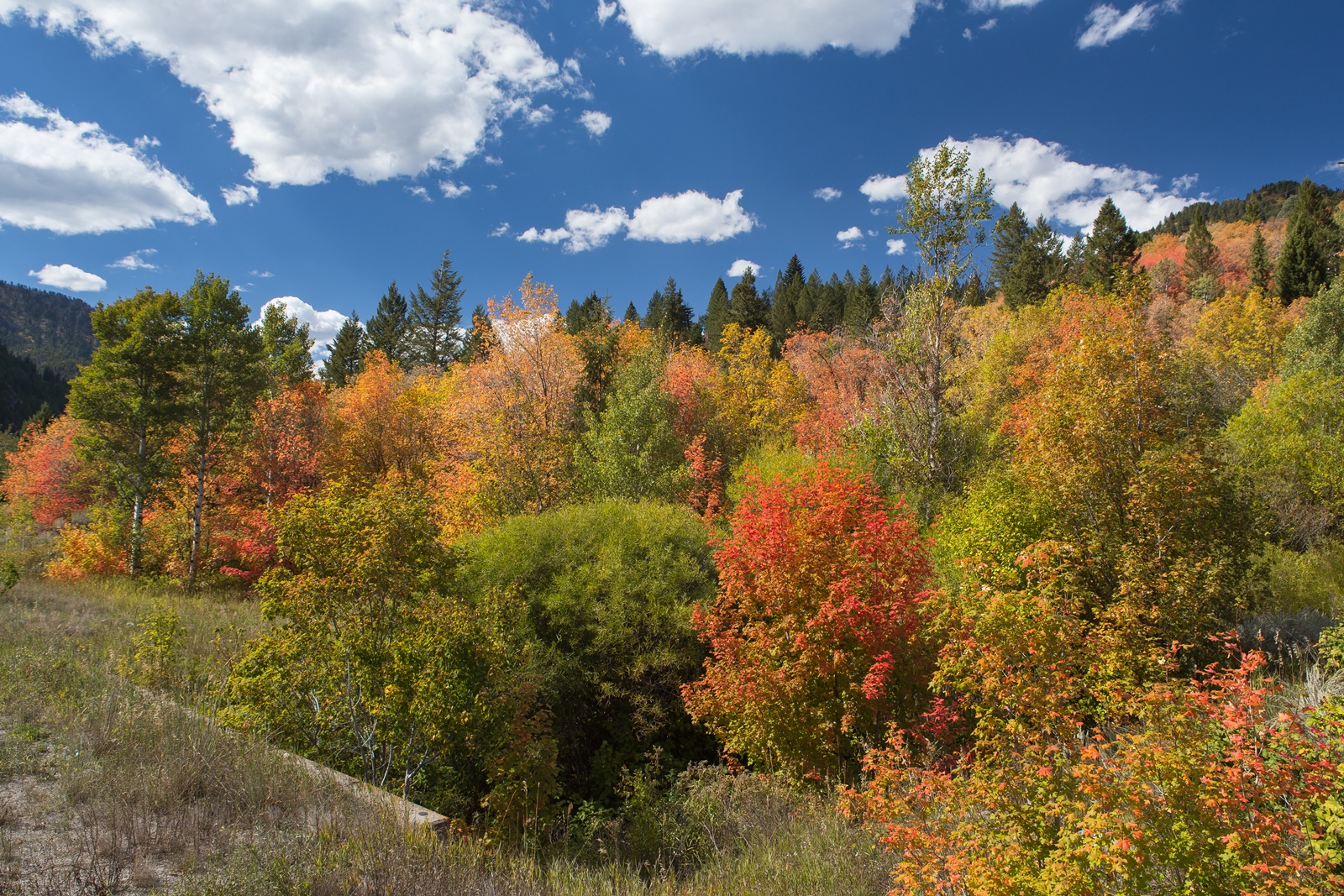 USA NW 131