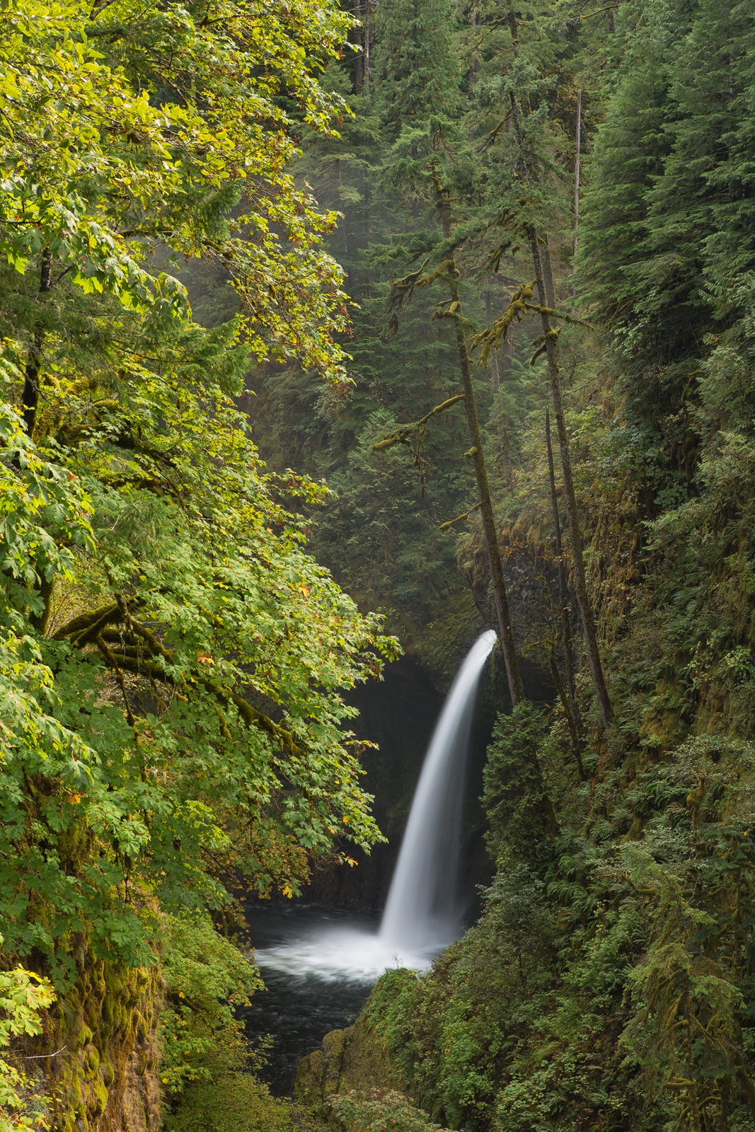USA NW 144