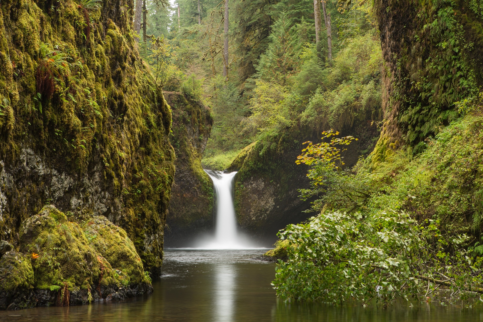 USA NW 145