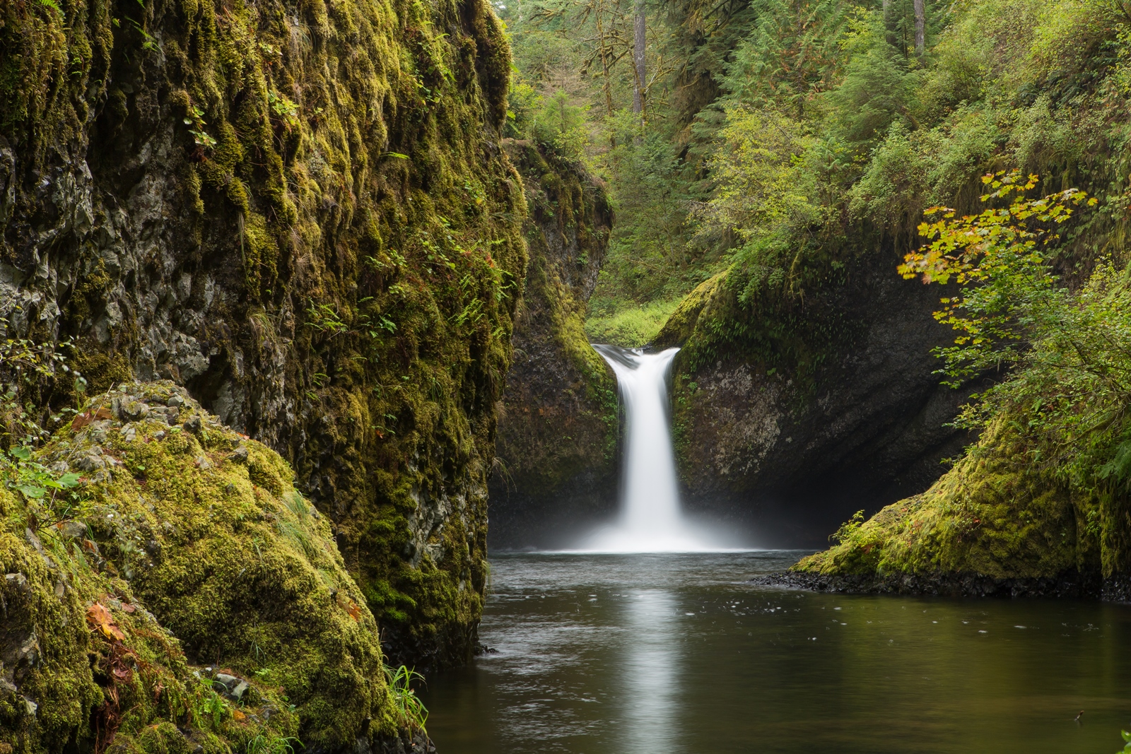USA NW 146