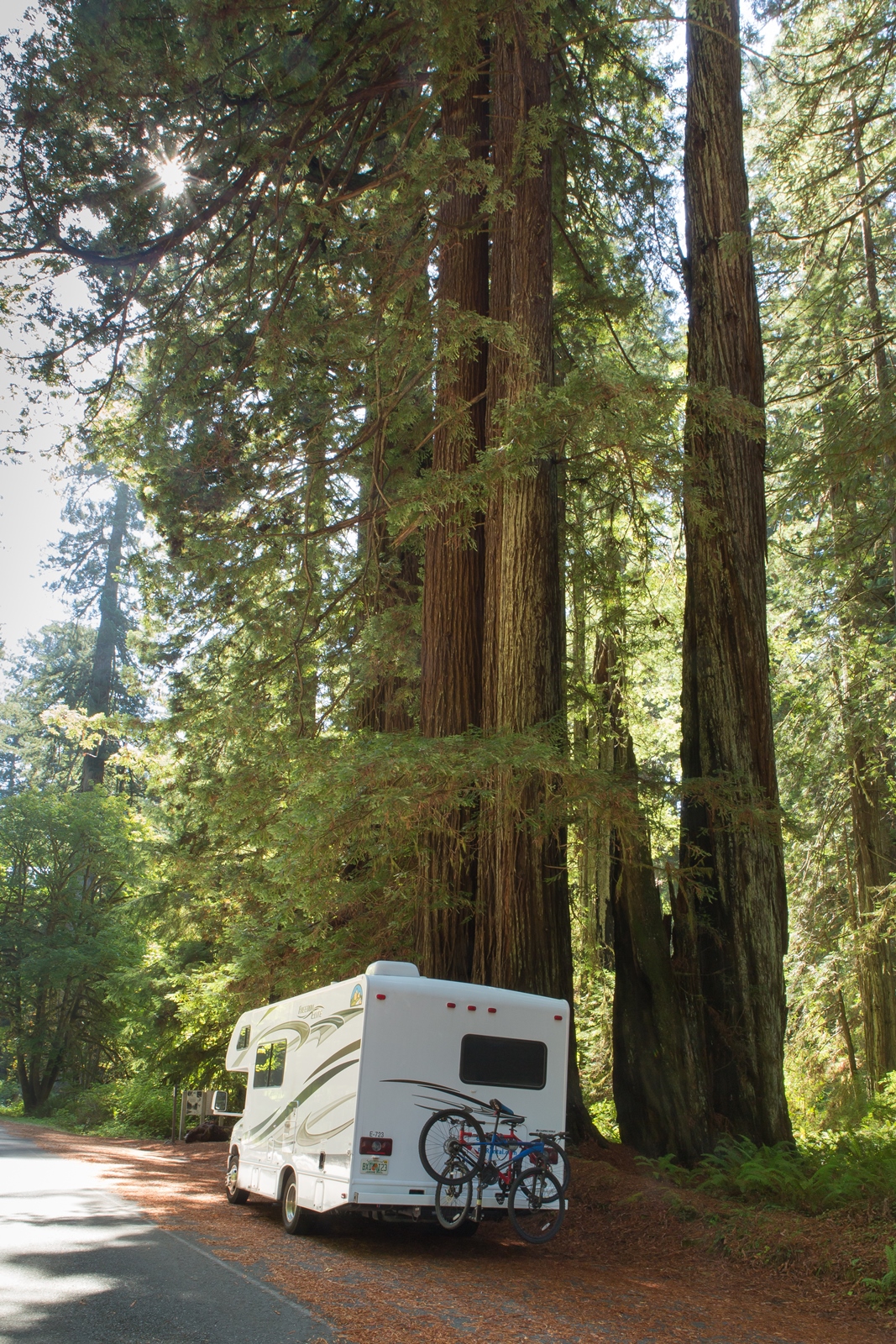 USA NW 165