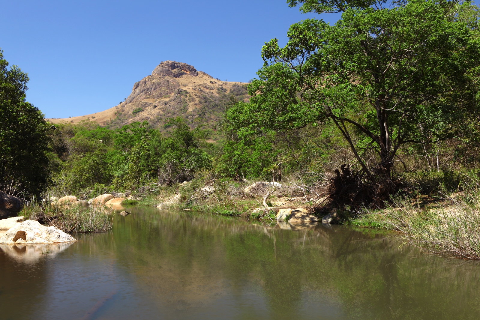 Südafrika 061