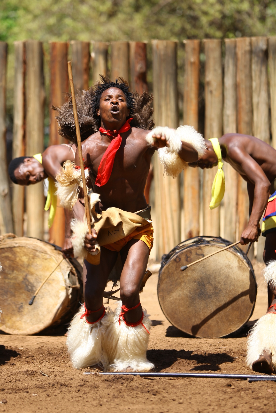 Südafrika 068