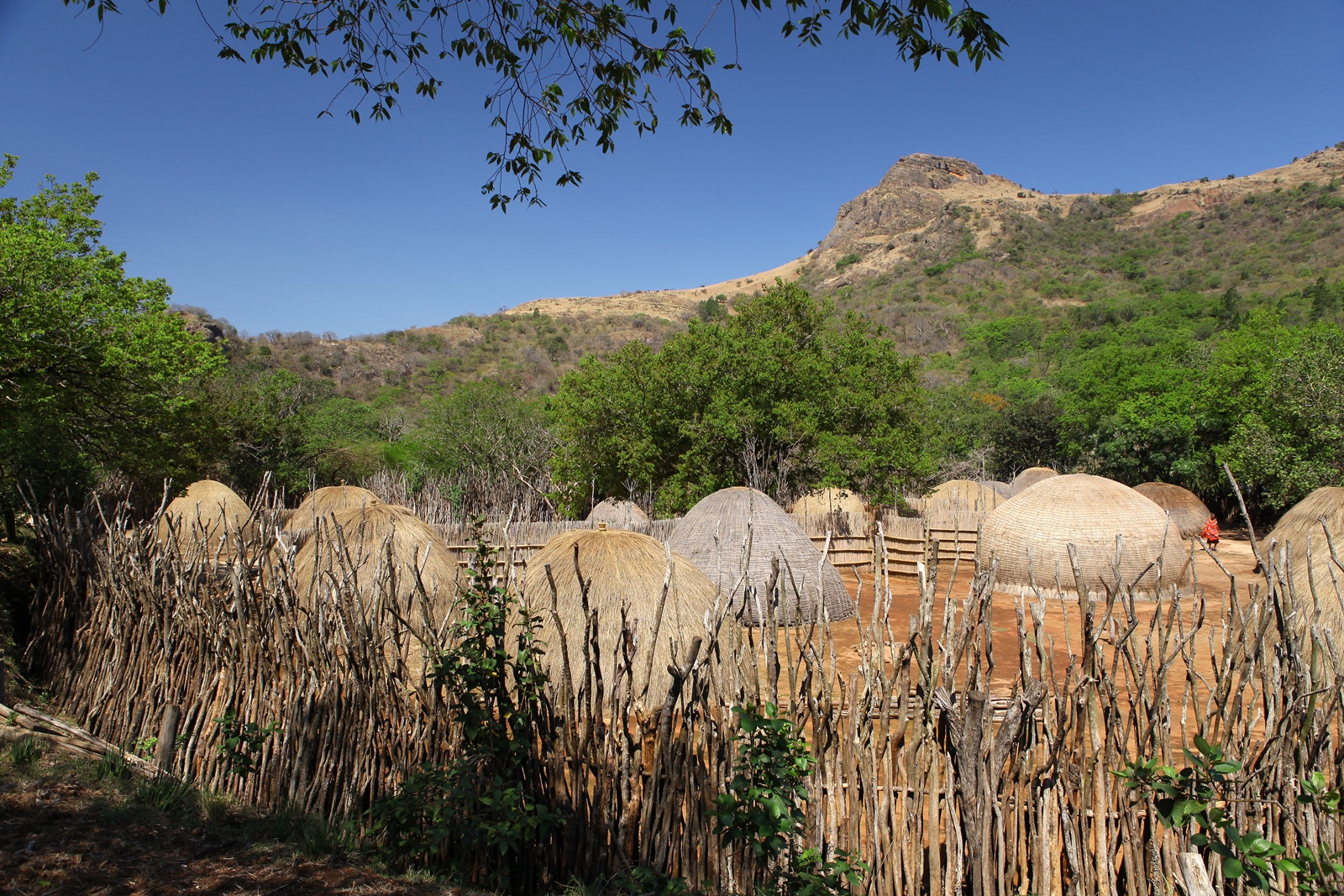 Südafrika 069