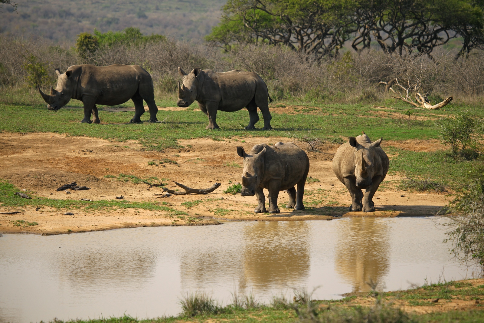 Südafrika 096