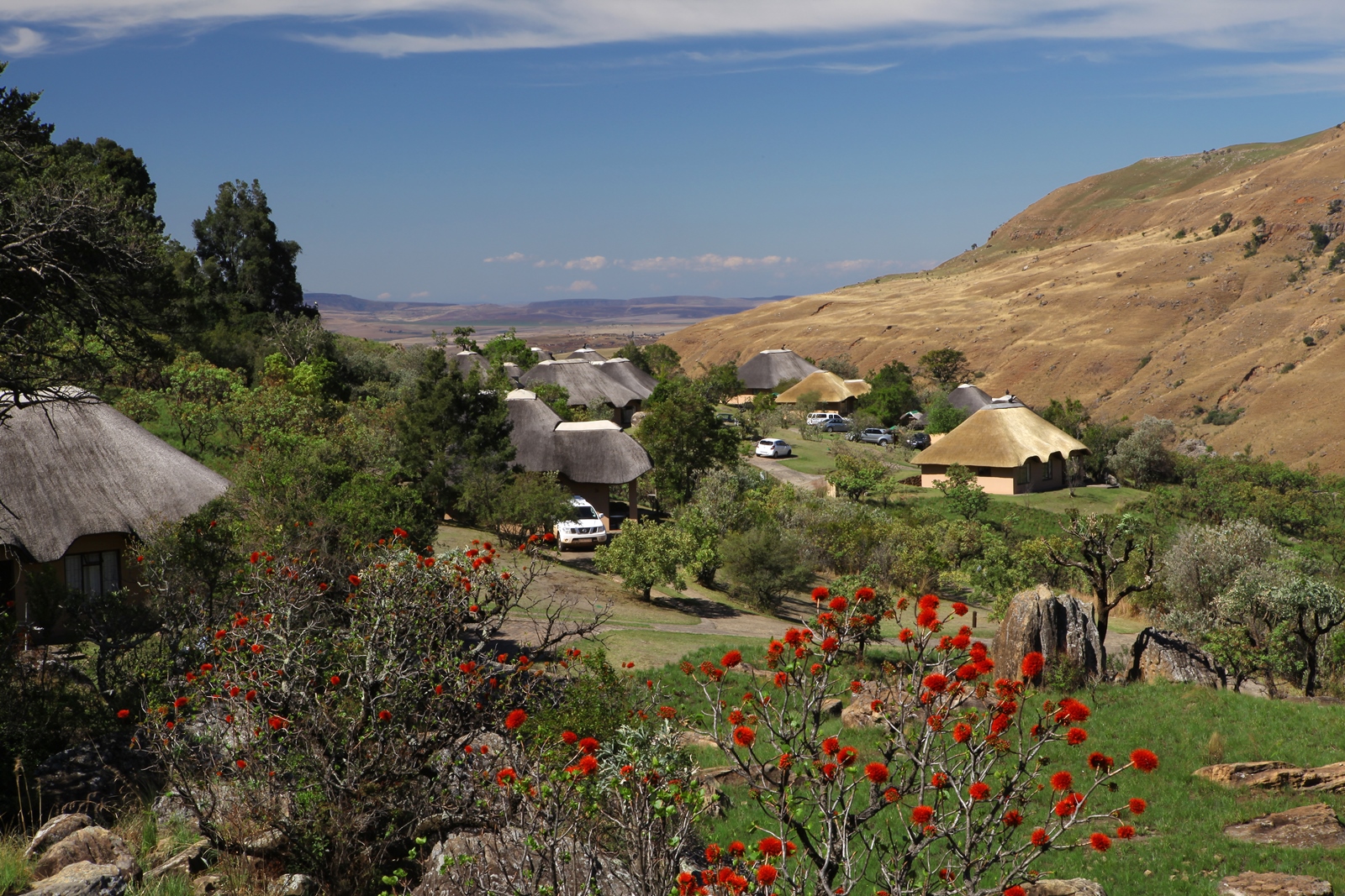 Südafrika 110