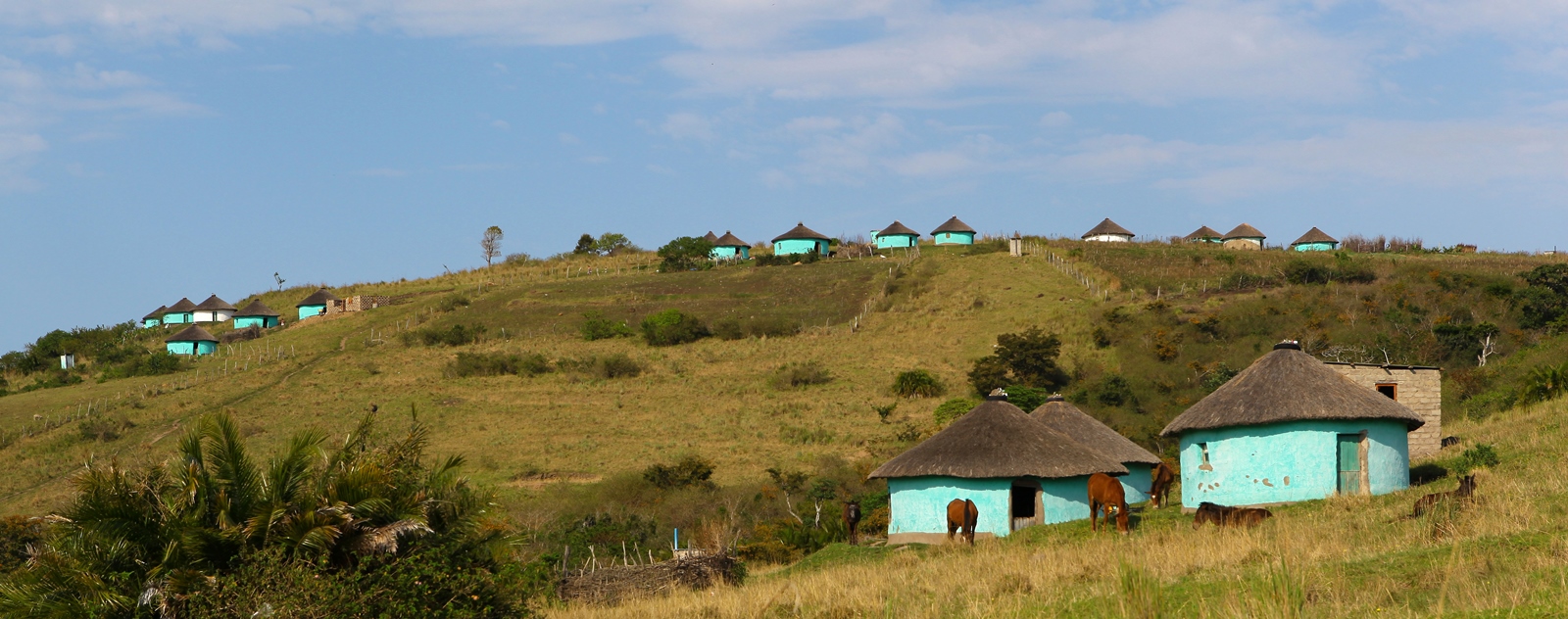 Südafrika 158