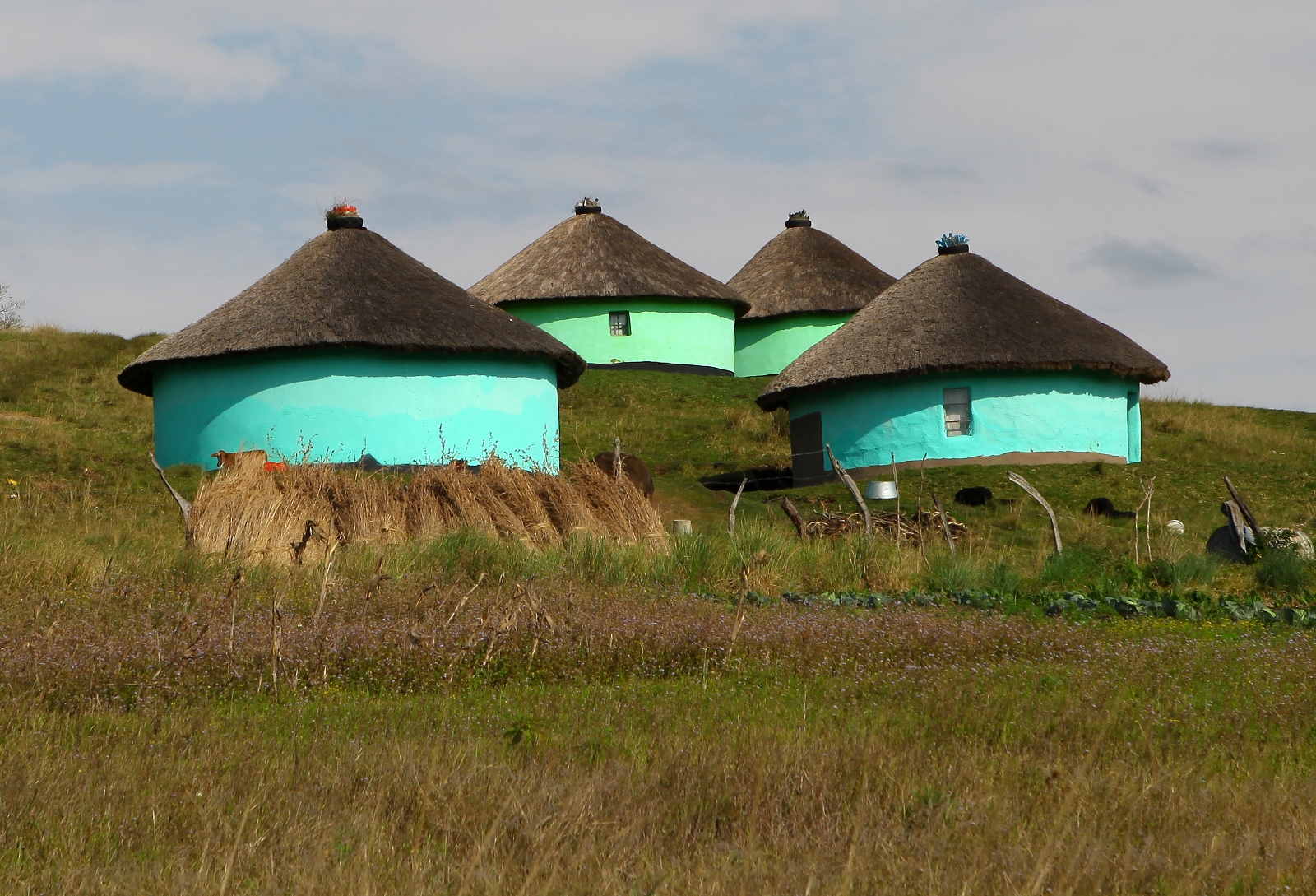 Südafrika 159