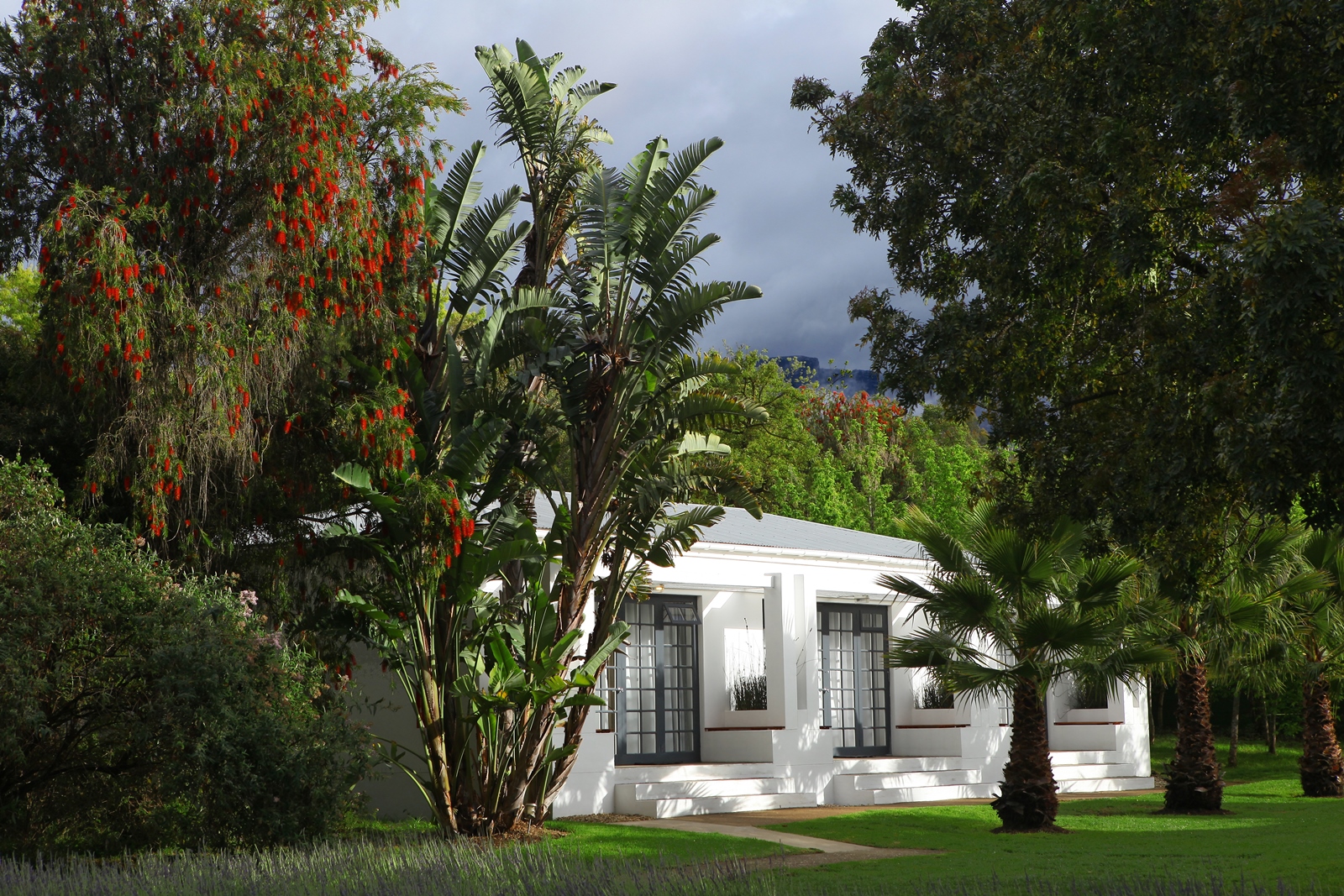 Südafrika 223