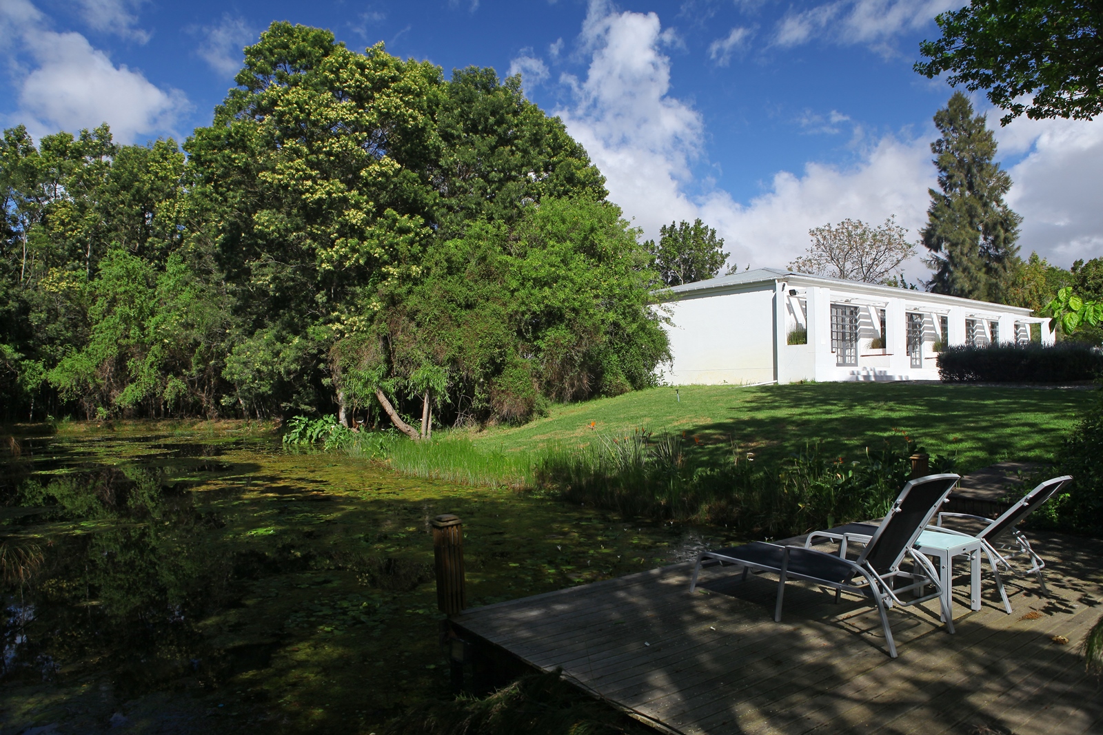 Südafrika 226